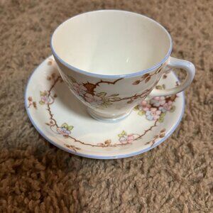 Old Royal bone china teacup saucer cup set blue pink flowers